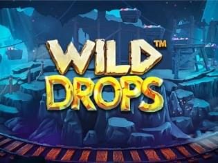 Wild Drops game thumbnail